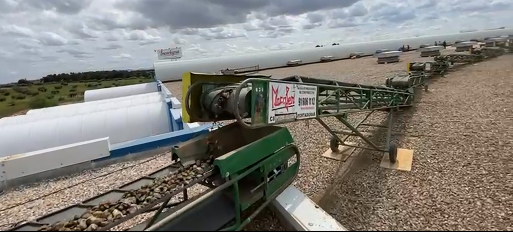 Cómo elegir la cinta transportadora adecuada